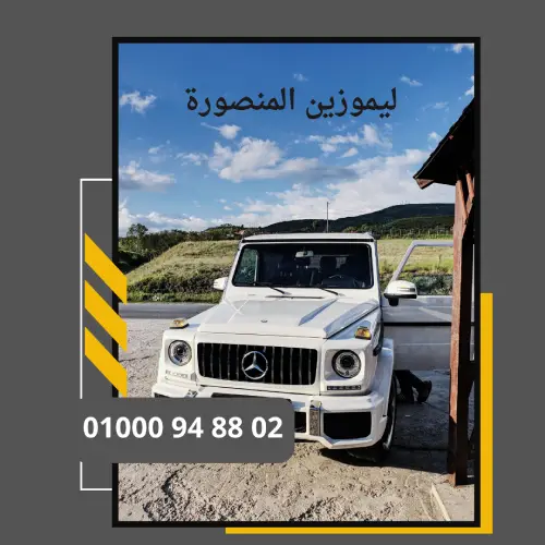 ليموزين المنصورة     : ليموزين مطار القاهرة